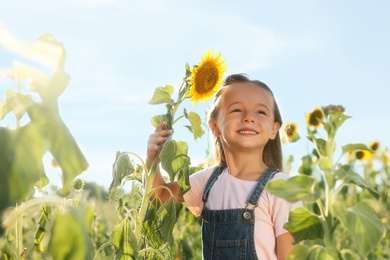 Cute little girl with sunflowers outdoors. Child spending time in nature