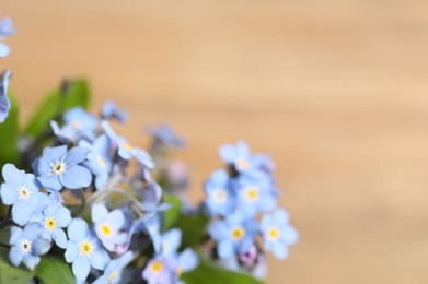 Beautiful forget-me-not flowers on beige background, closeup. Space for text