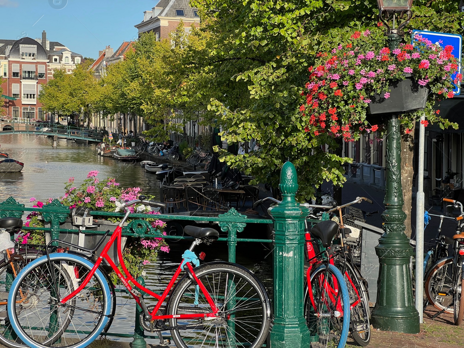 Photo of View of bicycles and beautiful plants near canal on city street