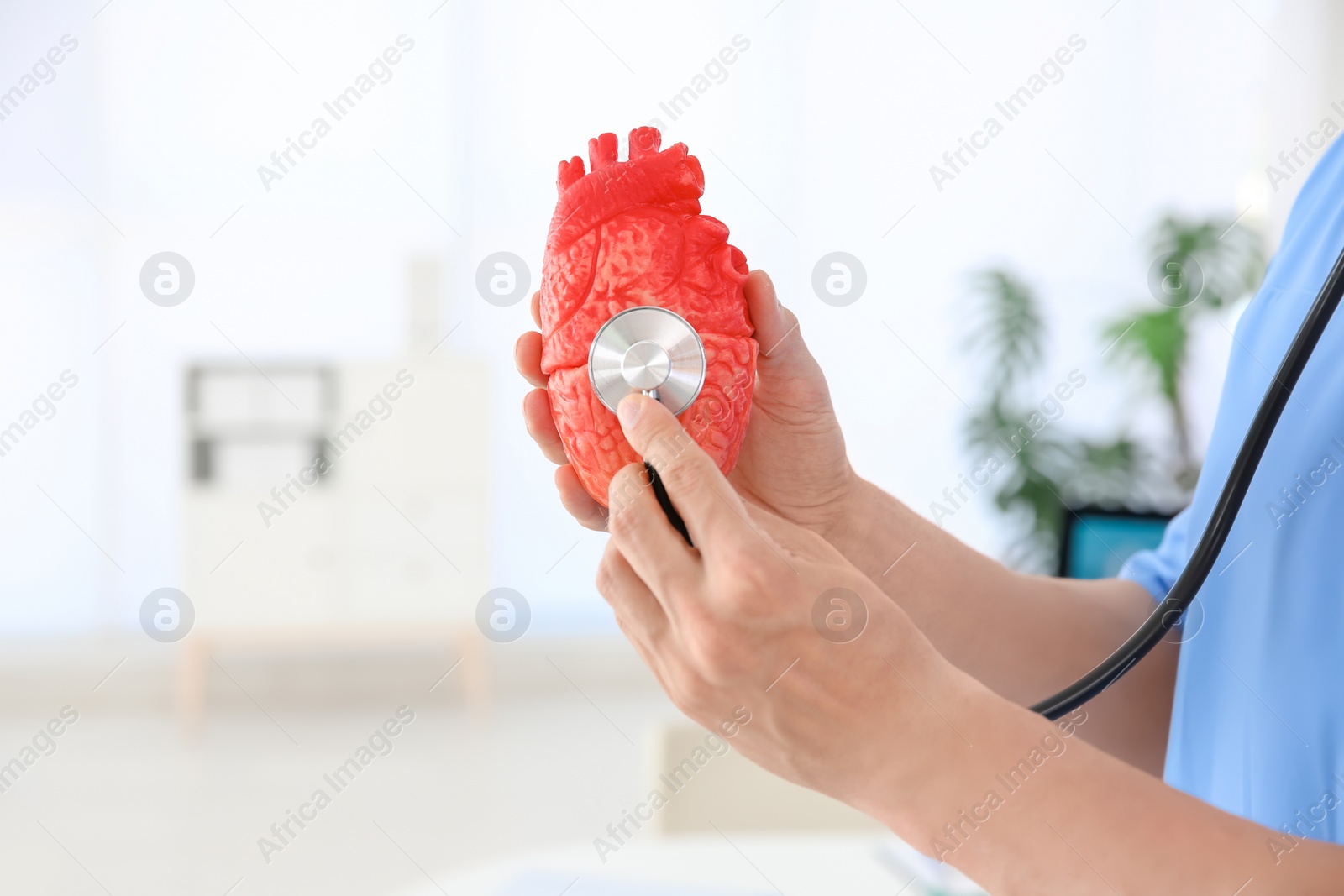 Photo of Male doctor with heart model and stethoscope in clinic. Cardiology center