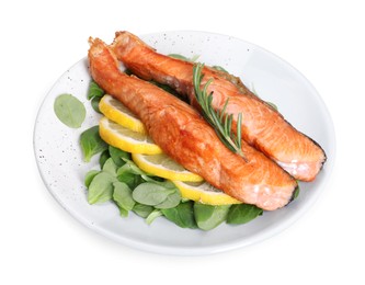 Photo of Healthy meal. Pieces of grilled salmon, spinach, rosemary and lemon isolated on white