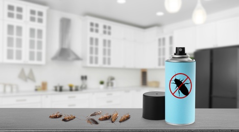 Image of Pest control. Insecticide and dead cockroaches on table in kitchen, space for text