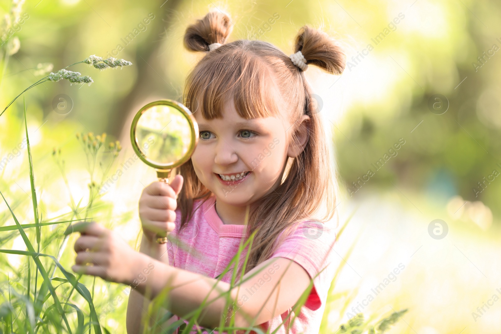 Photo of Little girl exploring plant outdoors. Summer camp