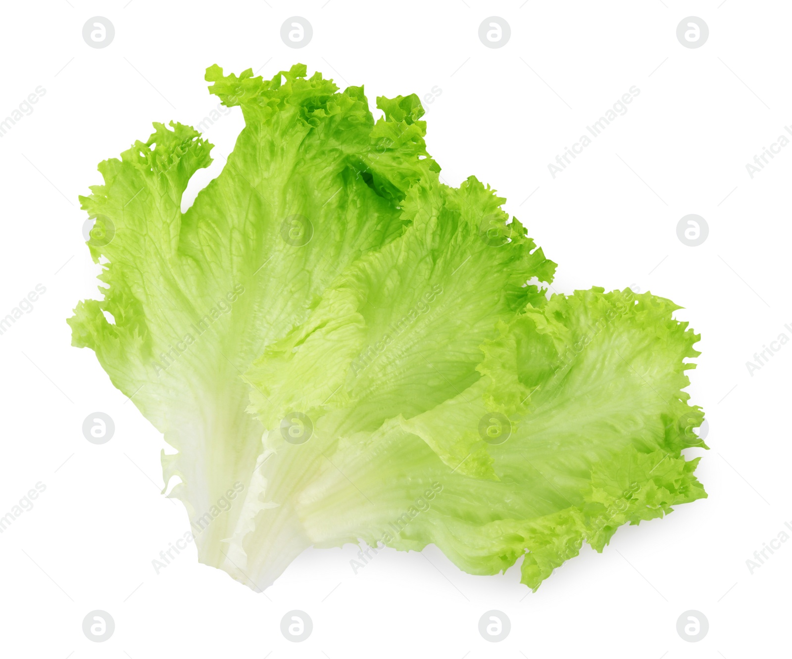 Photo of Fresh green lettuce leaves isolated on white, top view