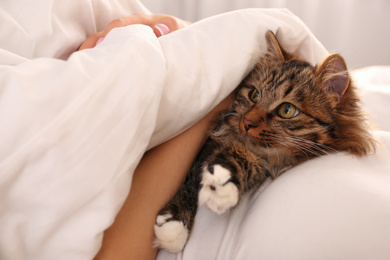 Photo of Woman with her cute cat on bed, closeup. Fluffy pet