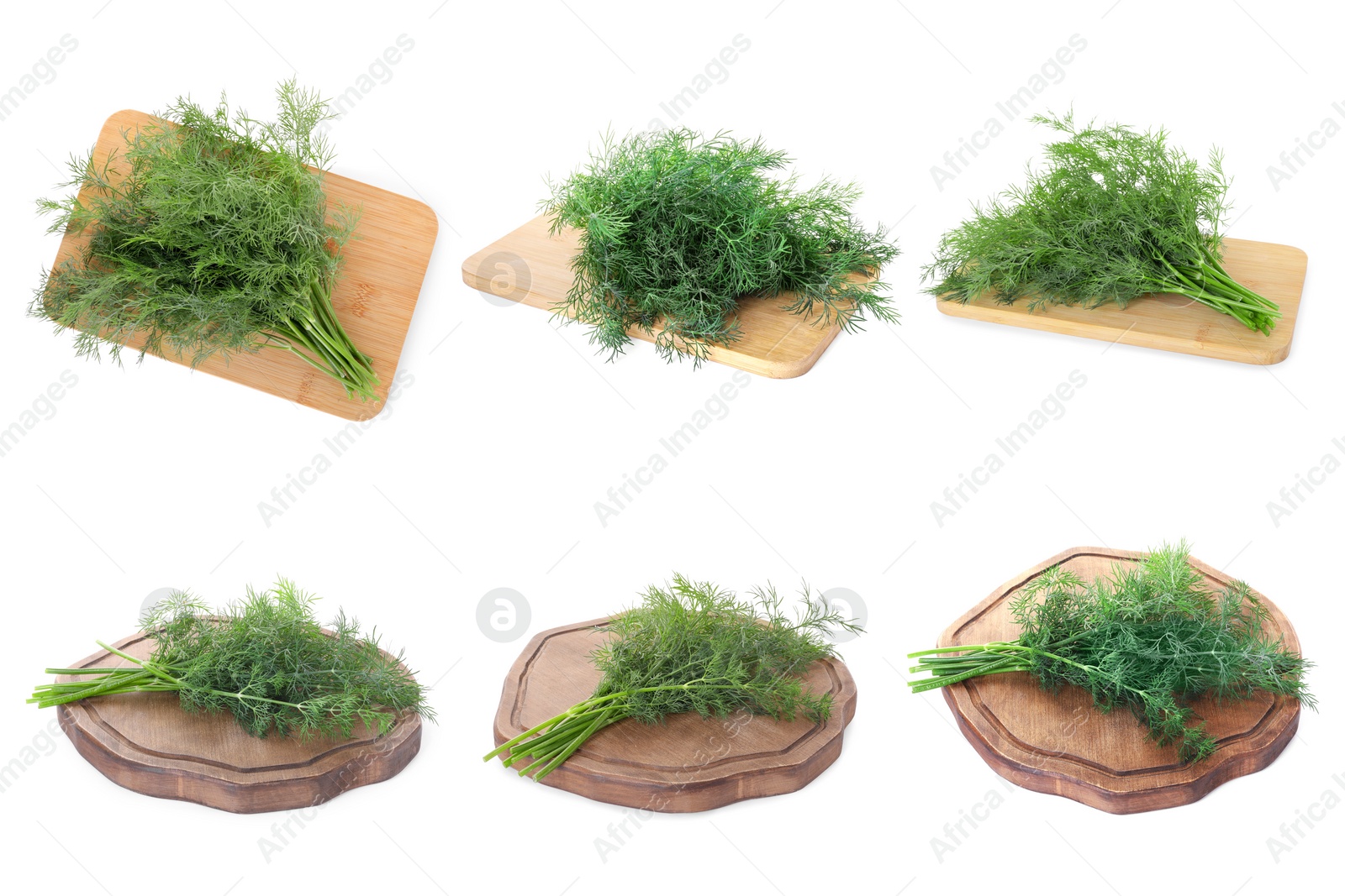 Image of Collage with bunches of fresh dill isolated on white