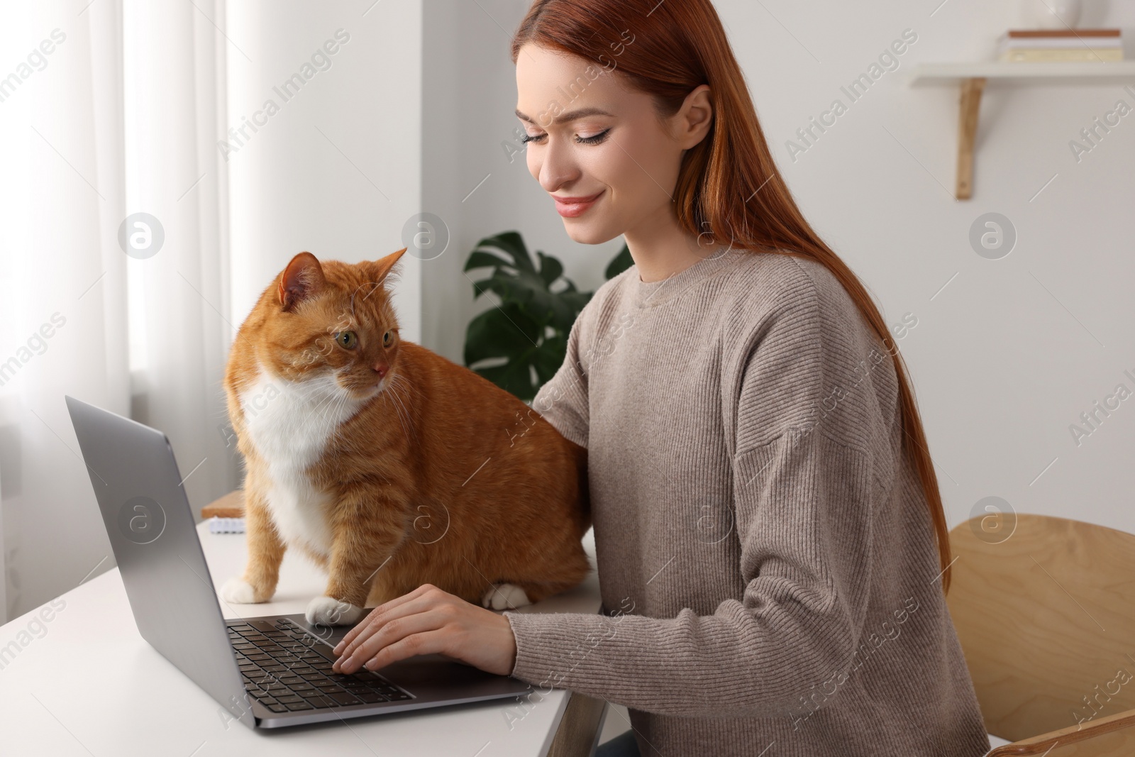 Photo of Woman with cat working at desk. Home office