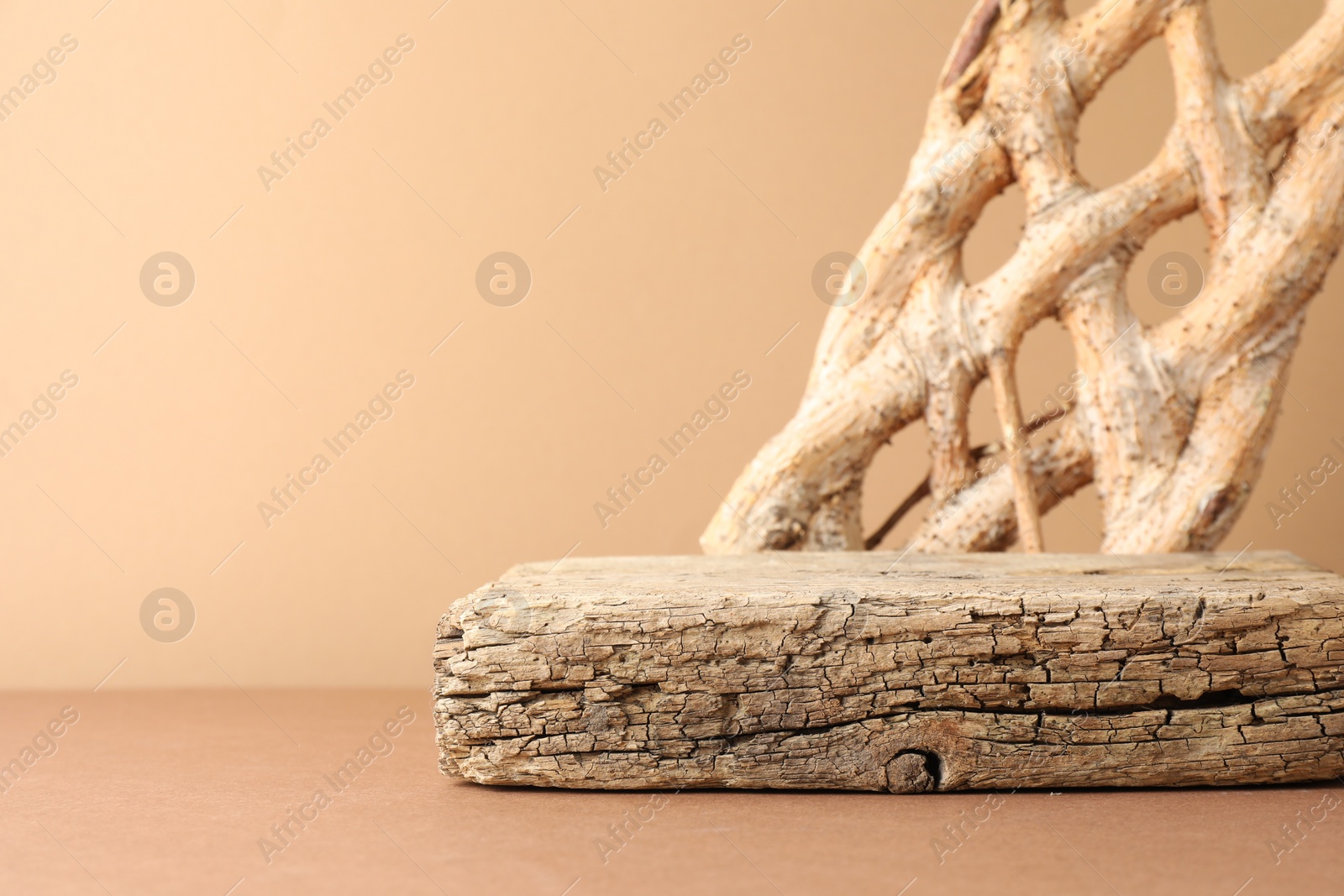 Photo of Presentation for product. Wooden podium and braided tree trunk on beige background. Space for text