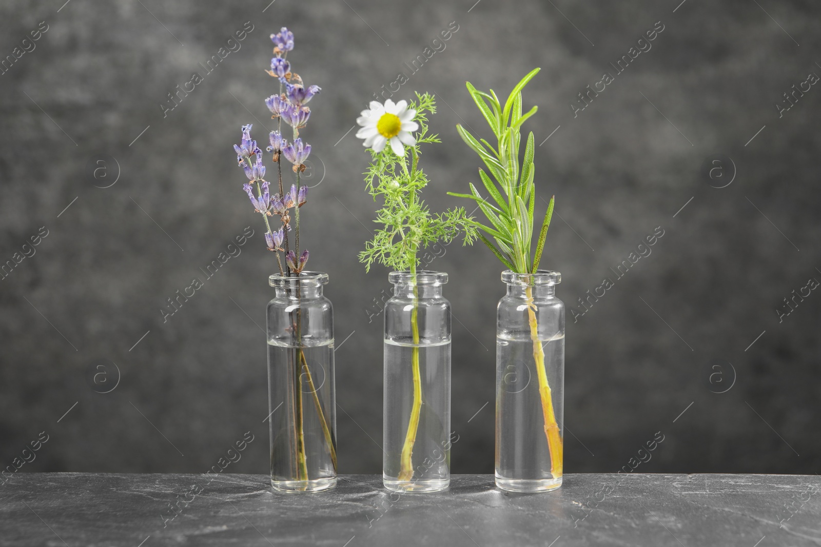 Photo of Bottles with essential oils and plants on grey textured table