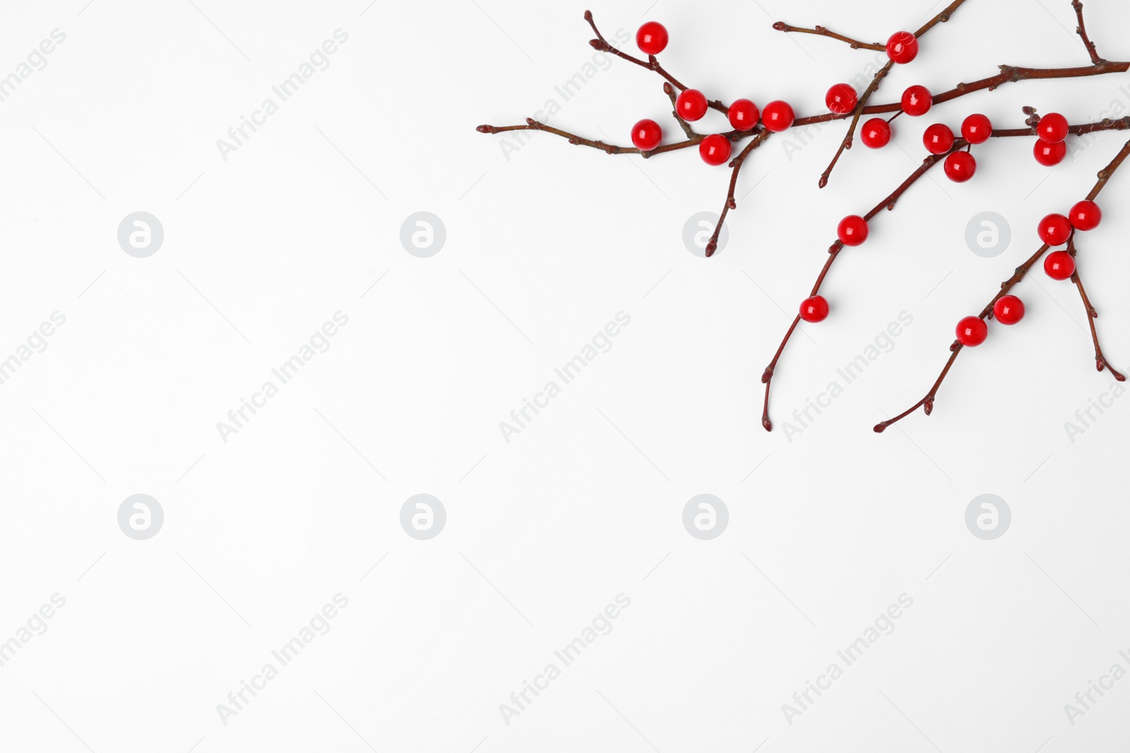 Photo of Winter composition with decorative branches on white background, top view