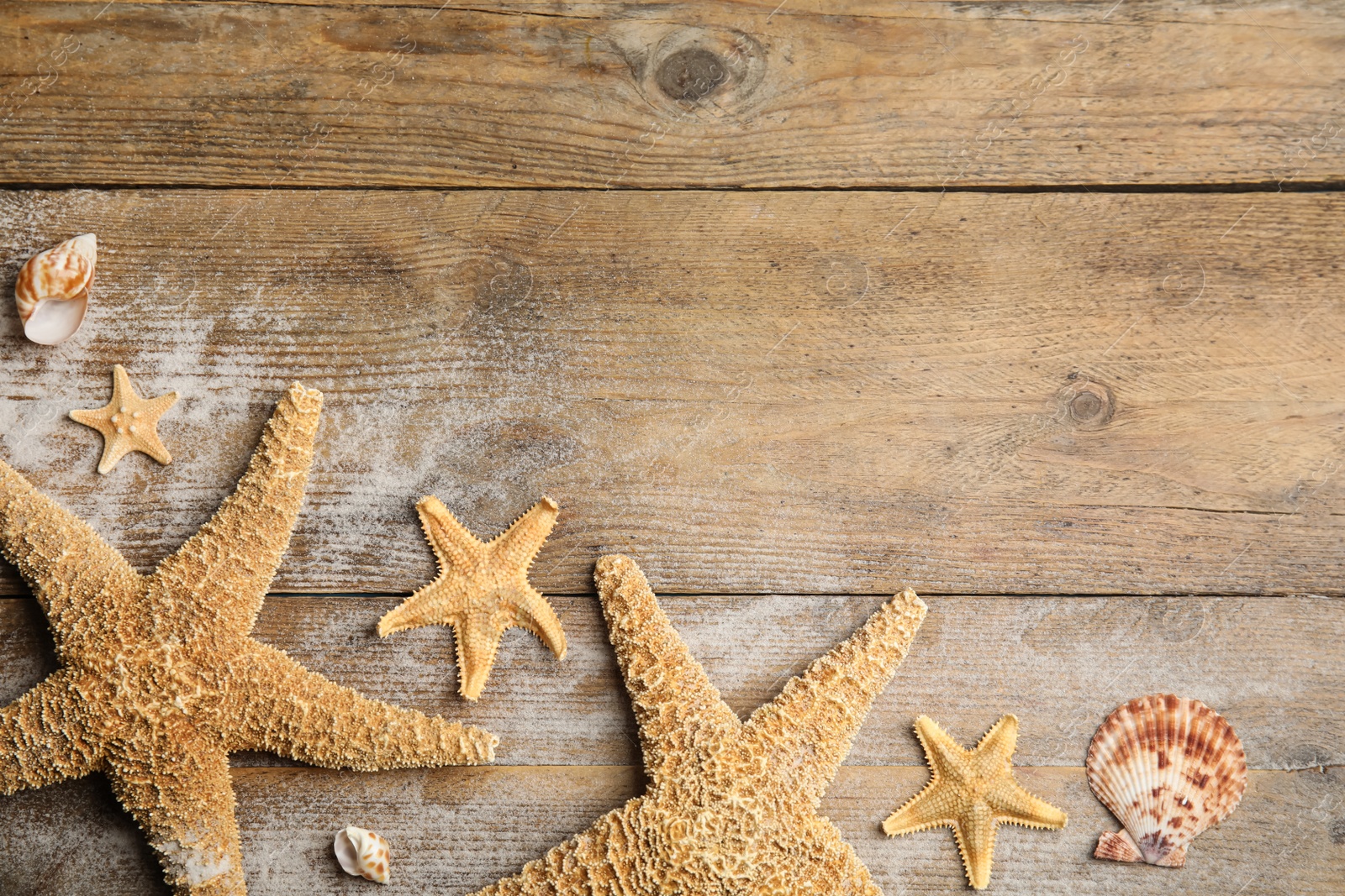 Photo of Beautiful sea stars, shells and sand on wooden background, flat lay. Space for text