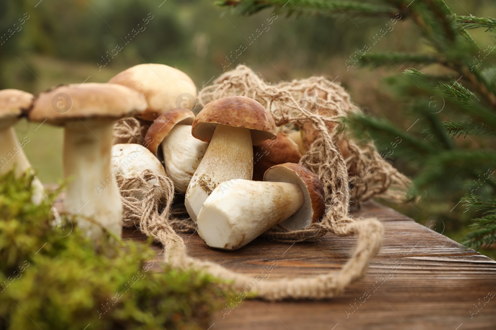 Photo of String bag and fresh wild mushrooms on wooden table outdoors