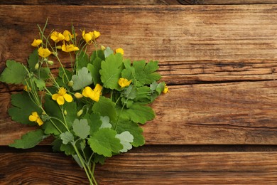 Celandine with yellow flowers and green leaves on wooden table, flat lay. Space for text