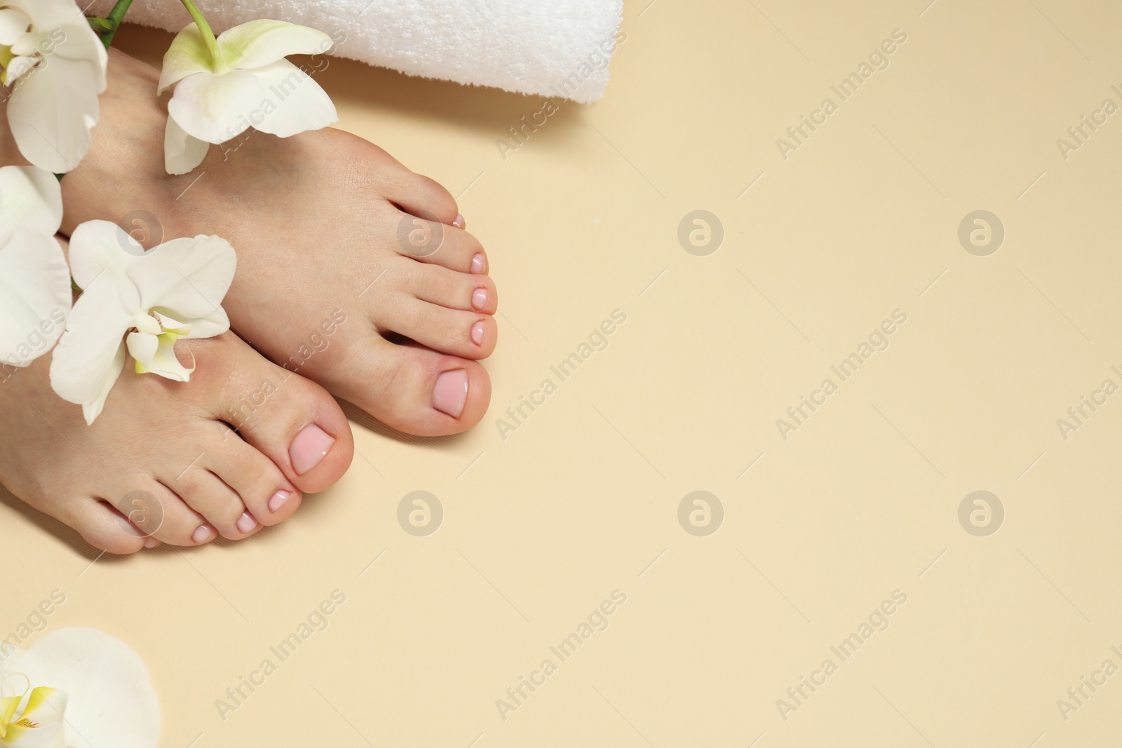Photo of Closeup of woman with neat toenails after pedicure procedure on beige background, top view. Space for text