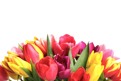 Beautiful bright spring tulips on white background