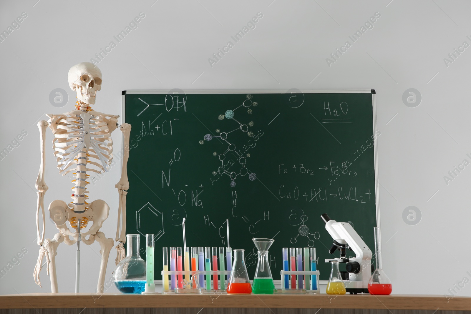 Photo of Skeleton and different chemistry glassware in classroom