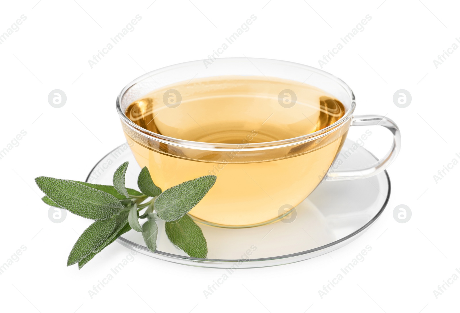 Photo of Cup of aromatic herbal tea and fresh sage isolated on white
