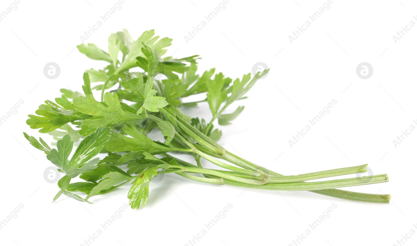 Sprigs of fresh green parsley leaves isolated on white Photo of Sprigs of fresh green parsley leaves isolated on white