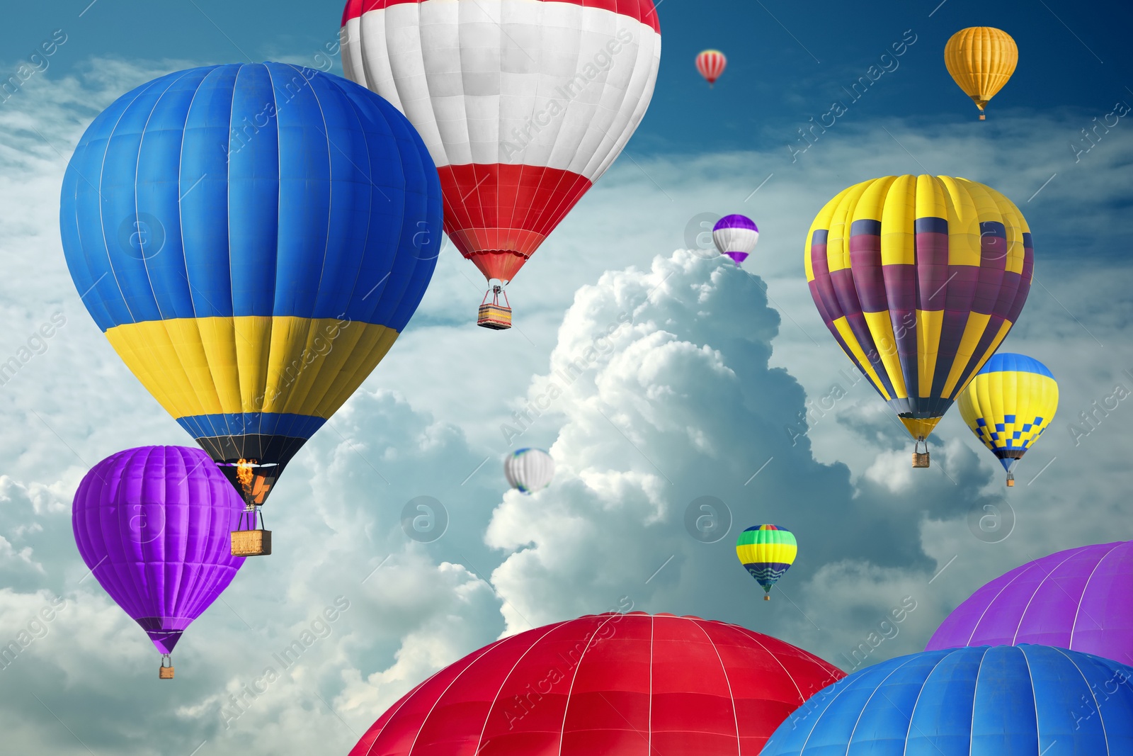 Image of Many bright hot air balloons flying in sky