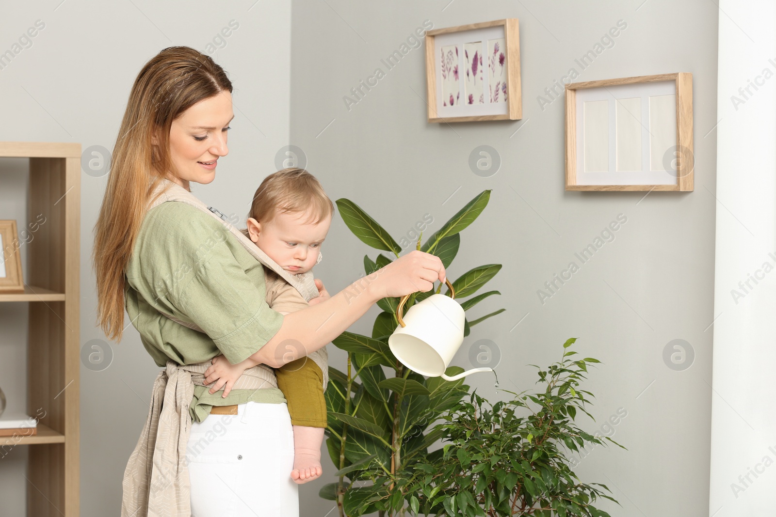 Photo of Mother watering houseplants while holding her child in sling (baby carrier) at home