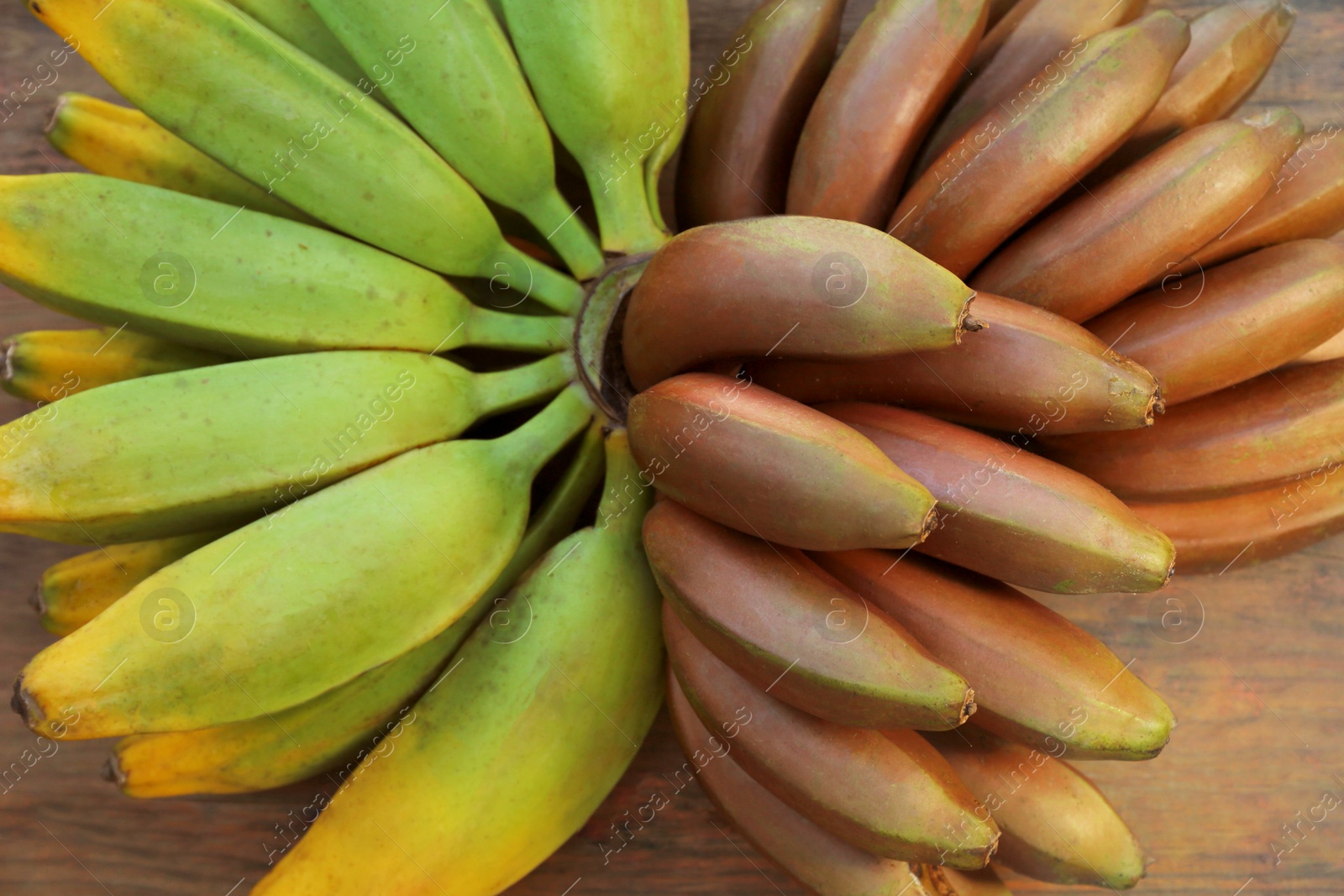 Photo of Different sorts of bananas on wooden table, top view