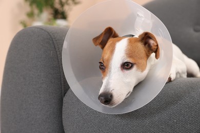 Cute Jack Russell Terrier dog wearing medical plastic collar on sofa indoors