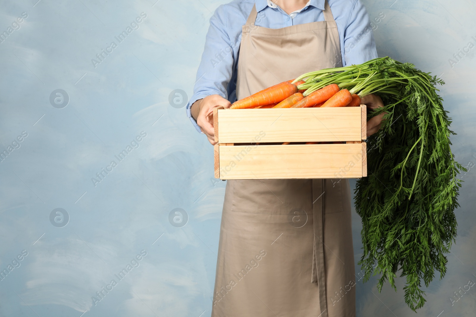 Photo of Woman holding wooden crate with fresh ripe carrots against color background. Space for text