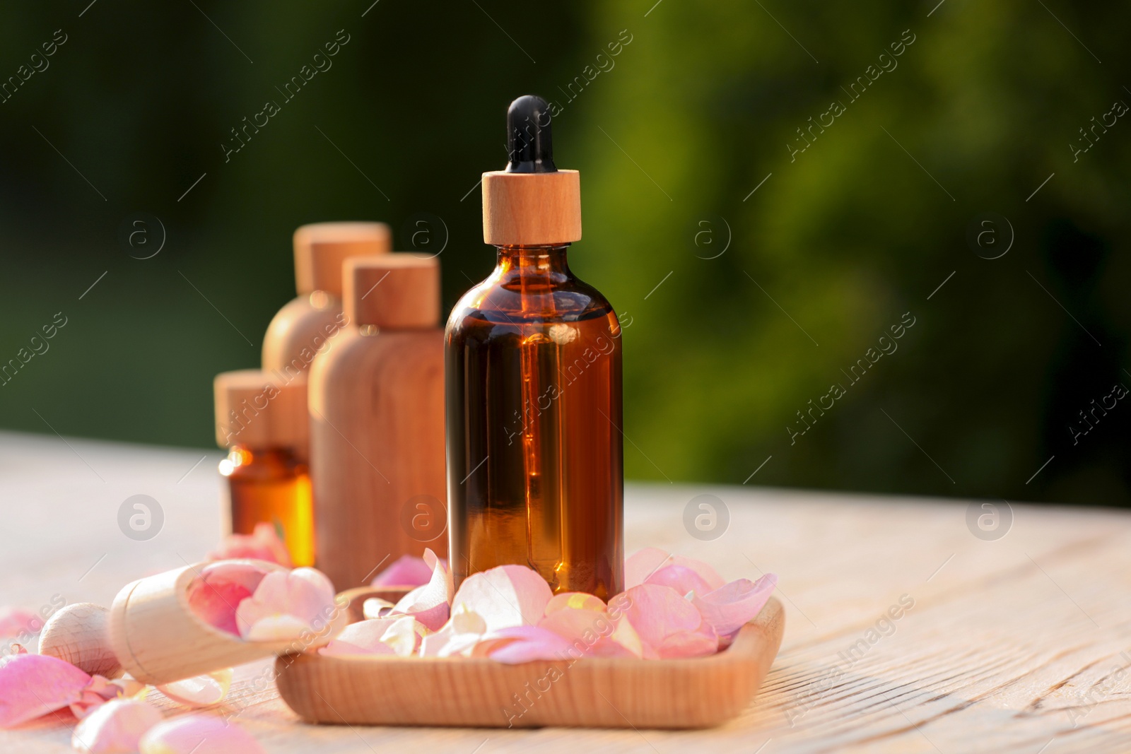 Photo of Rose essential oil and flowers on white wooden table outdoors, space for text