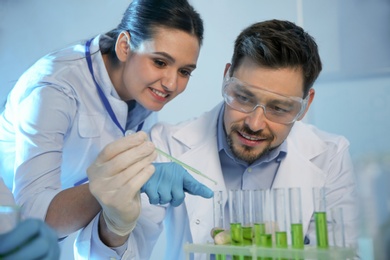 Photo of Scientists working with sample in chemistry laboratory