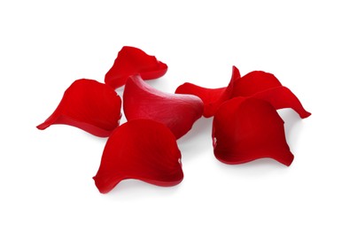 Photo of Fresh red rose petals on white background