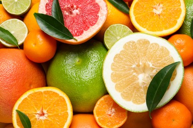 Photo of Different ripe citrus fruits with green leaves as background, top view