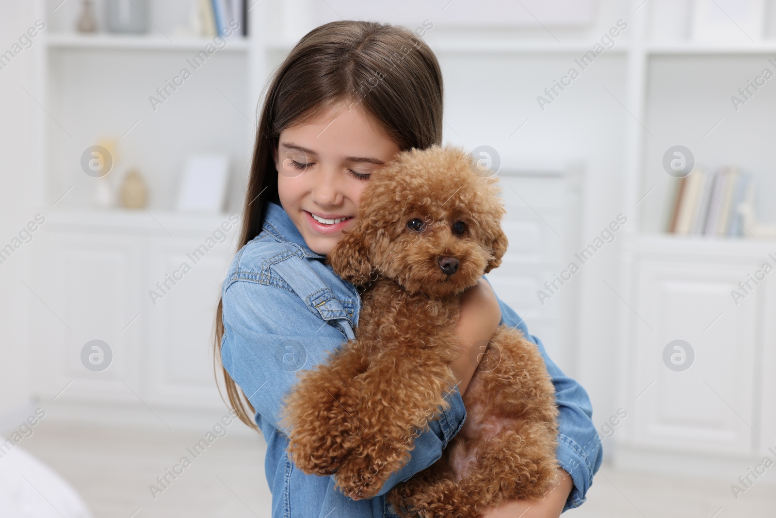 Photo of Little child with cute puppy at home. Lovely pet