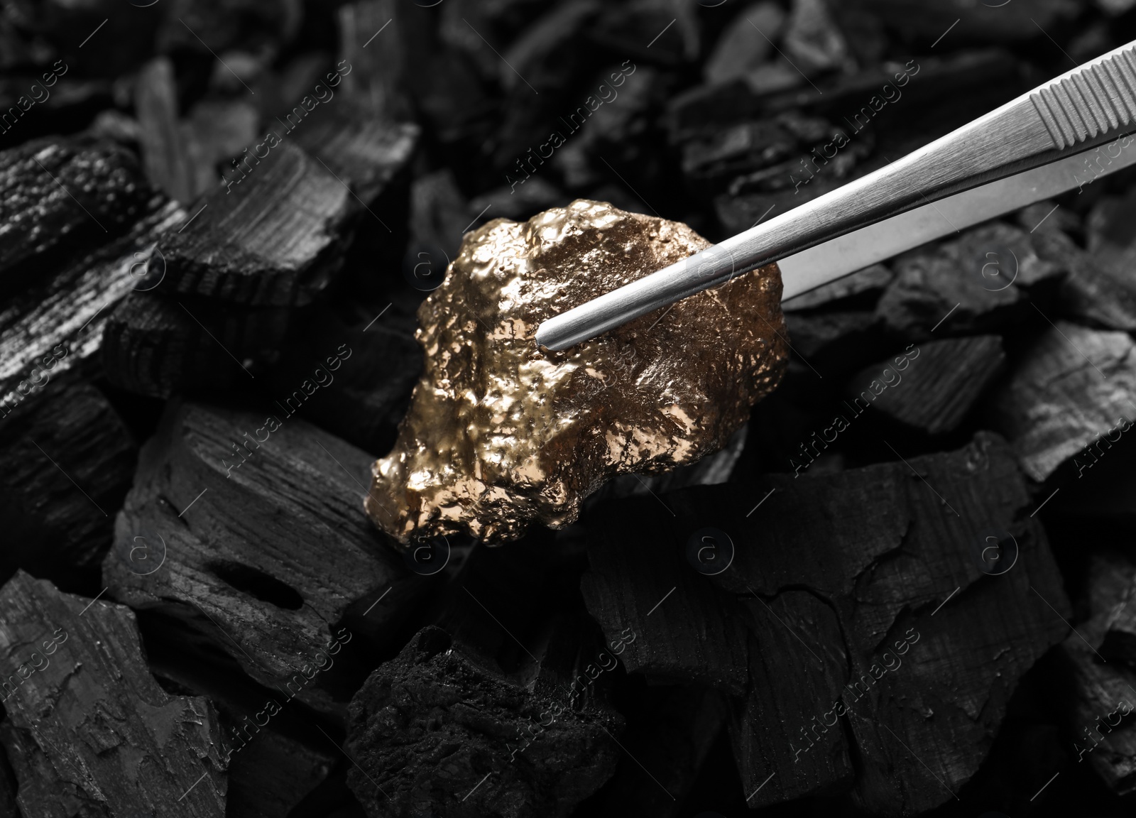 Photo of Tweezers with gold nugget above coals, closeup