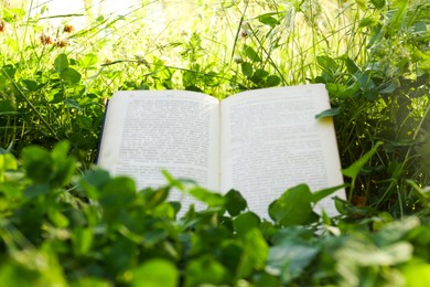 Photo of Open book on green grass in garden