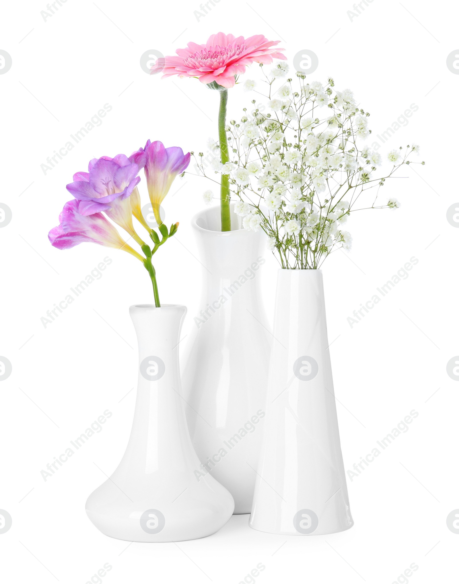 Photo of Beautiful fresh flowers in vases on white background