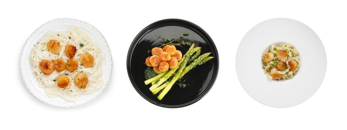 Image of Set of different dishes with scallops isolated on white, top view