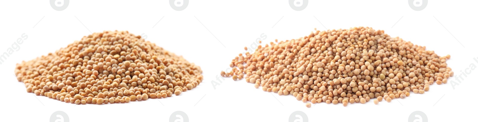 Image of Heaps of mustard seeds on white background. Banner design