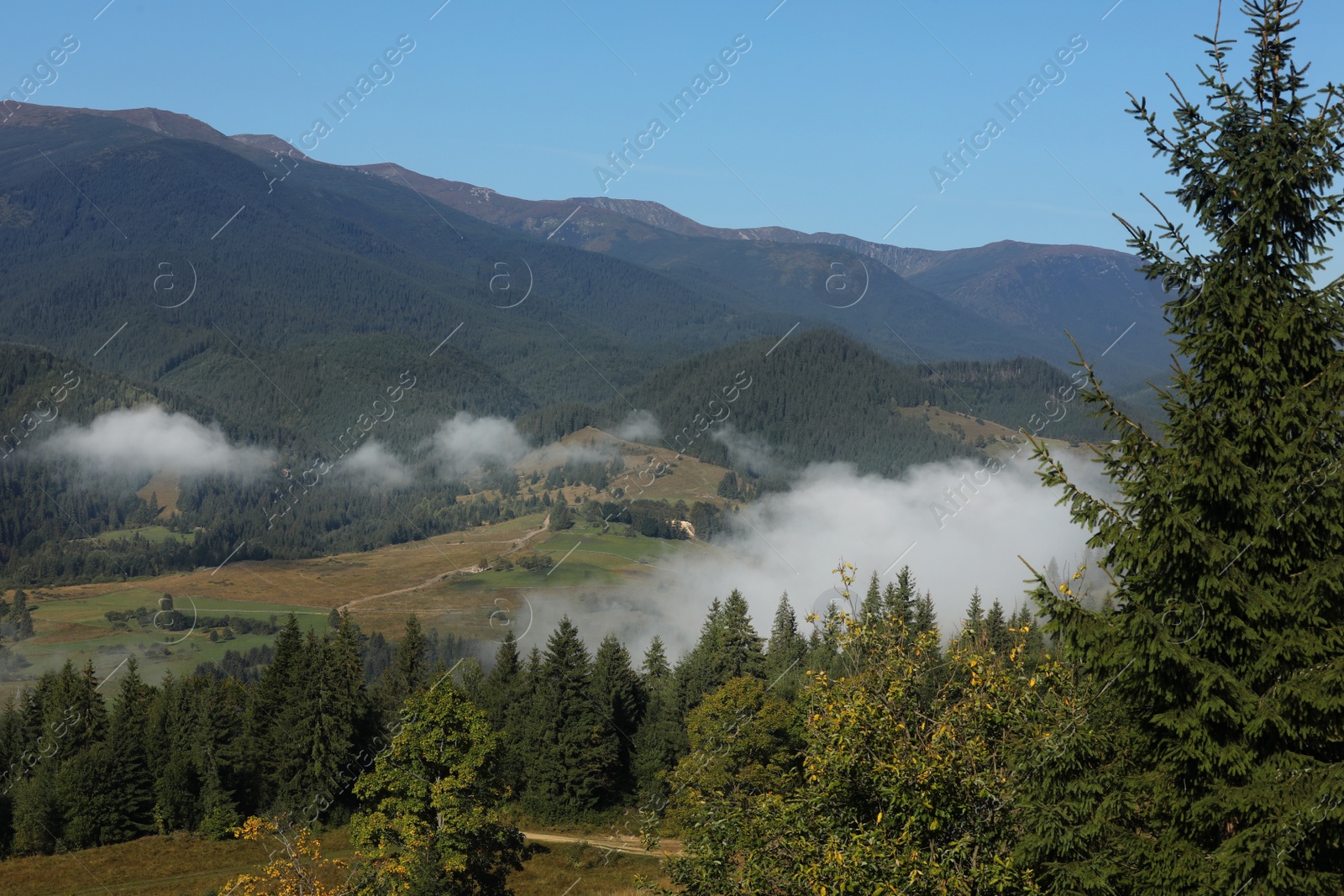 Photo of Picturesque view of mountains covered with fog