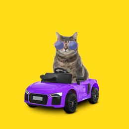 Image of Cute cat with stylish round sunglasses in toy car on yellow background