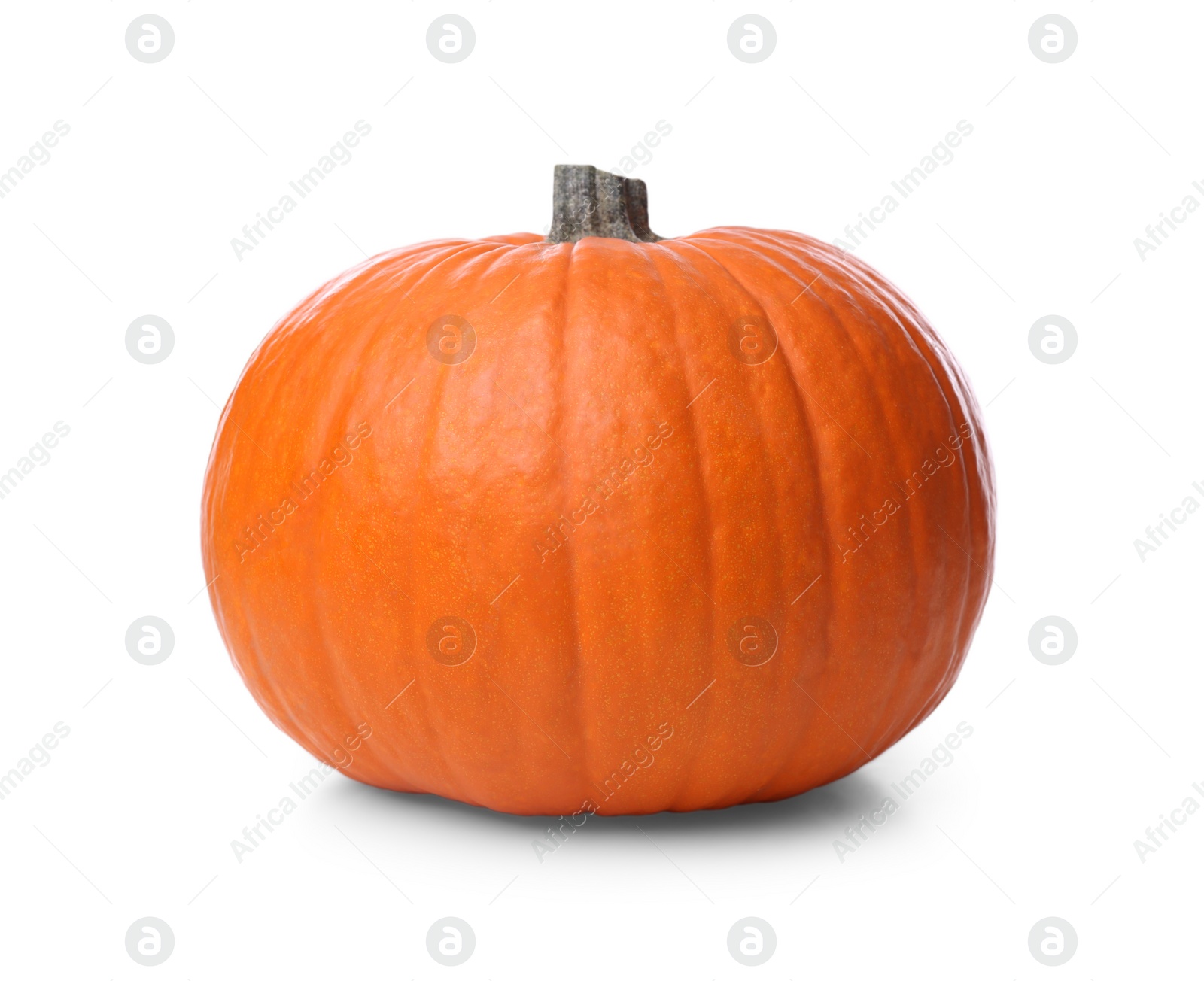 Photo of Ripe orange pumpkin isolated on white. Halloween decor