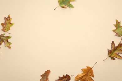 Dry autumn leaves on beige background, flat lay. Space for text