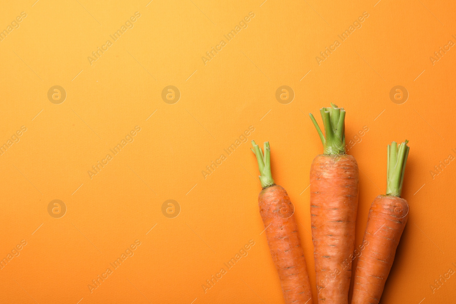 Photo of Flat lay composition with fresh carrots on color background. Space for text