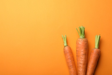 Flat lay composition with fresh carrots on color background. Space for text