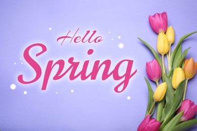 Image of Hello Spring card. Beautiful tulips on violet background, top view