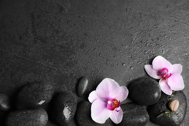 Photo of Stones with orchid flowers and space for text on wet black background, flat lay. Zen lifestyle