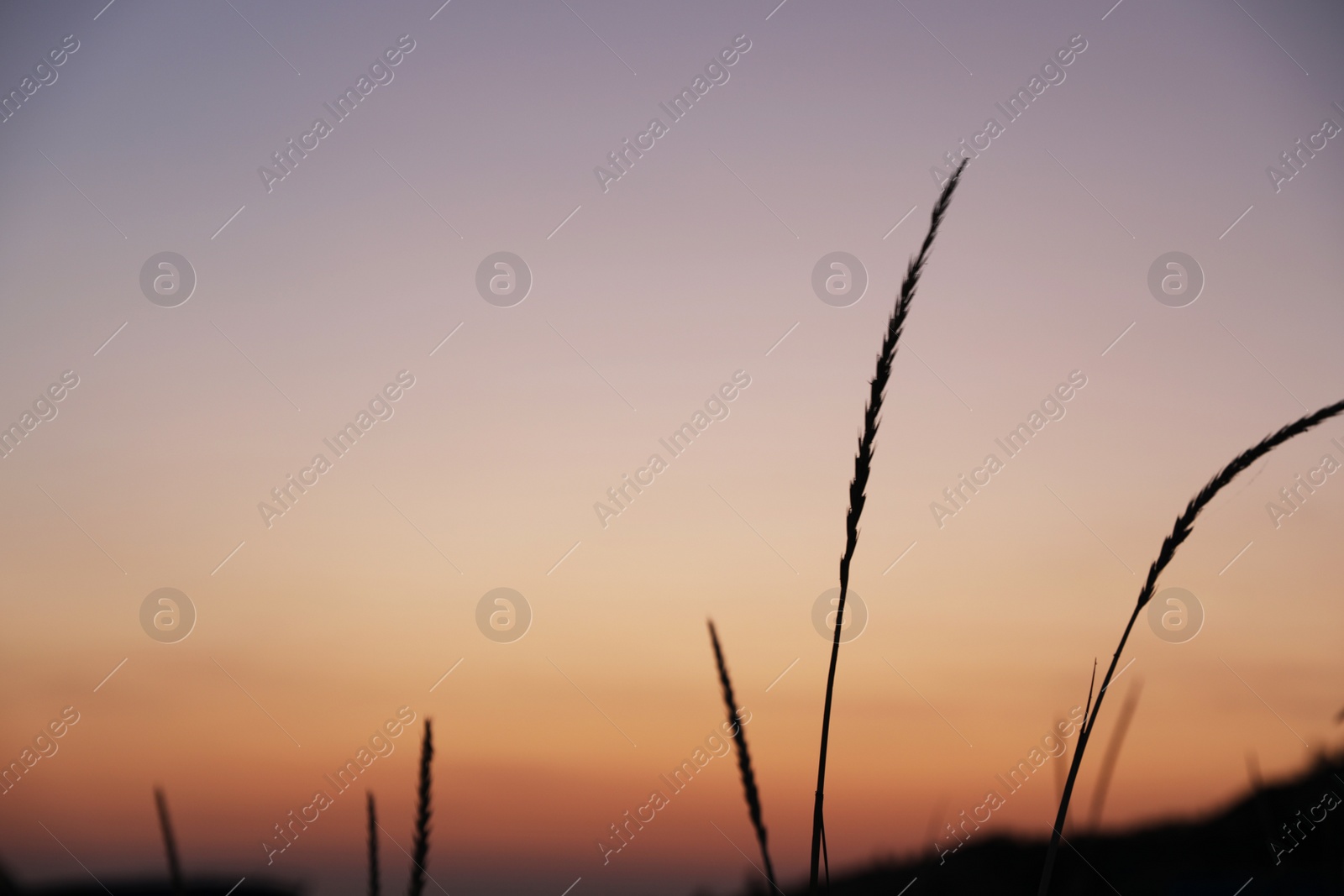 Photo of Beautiful view of picturesque sky at sunset