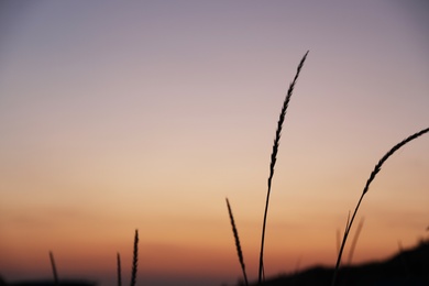 Photo of Beautiful view of picturesque sky at sunset