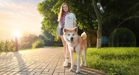 Image of Young woman walking her cute Akita Inu dog in park on sunny day, banner design. Lovely pet