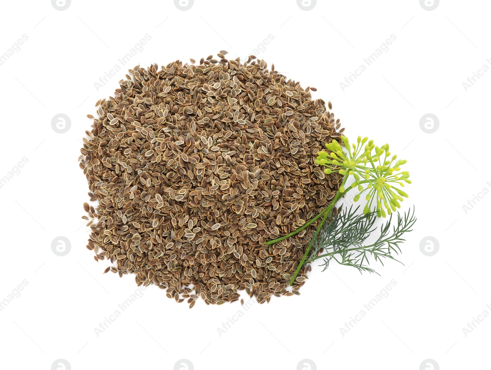 Photo of Pile of dry seeds and fresh dill isolated on white, top view