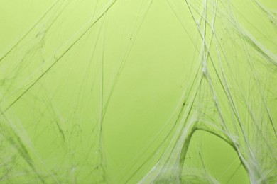 Creepy white cobweb hanging on green background